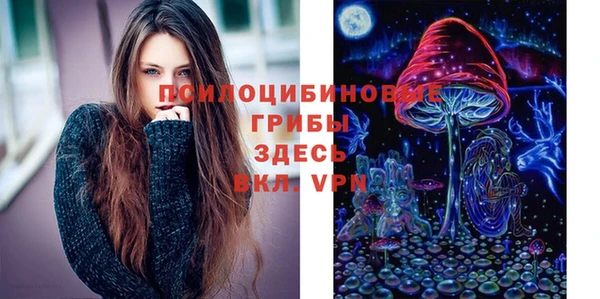 прущая мука Вязьма