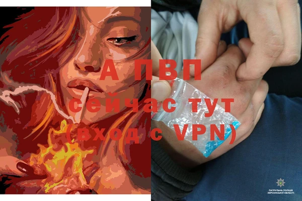 амфетамин Вяземский